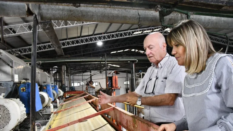 Se trata de una fábrica de ladrillos ecológicos y una planta de trozado de pescado // Conexión Parques